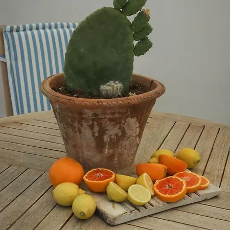 Trulli&dimore - Chez Anna Apartmán Monopoli